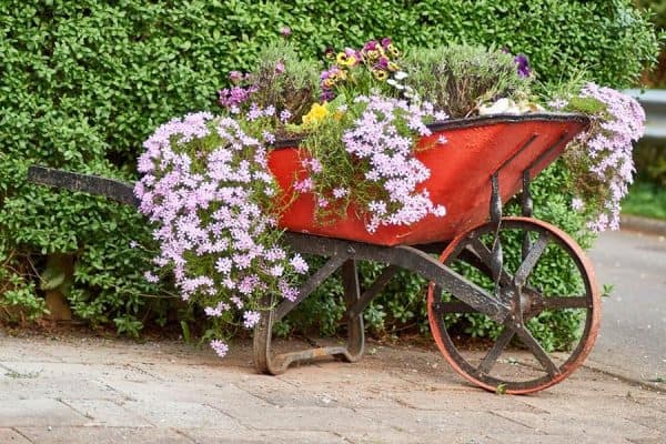 Man sieht eine Schubkarre, dekoriert mit Blumen.