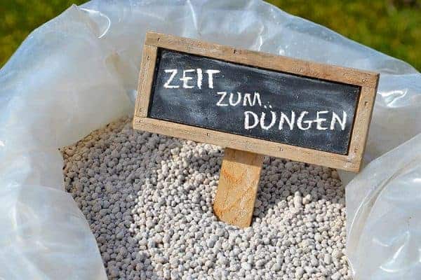 duengen-rasen-garten-gartentipp