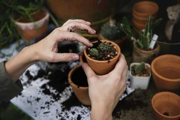 Eine Hand hält einen kleinen Blumentopf, dieser ist mit frischer Erde gefüllt