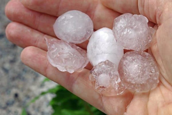 hagel-sturm-unwetter-gartenu