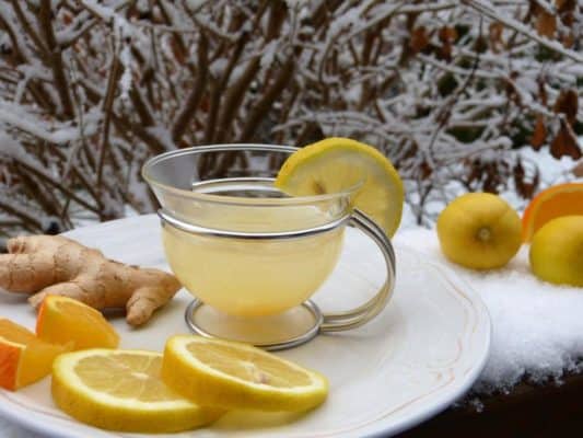 tee-ingwer-ginger-gesund-garten-gewuerze-krauter