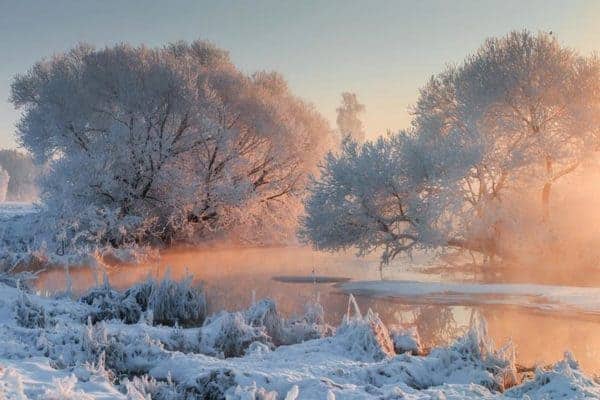 winter-schnee-garten-traum-sonne-eislandschaft