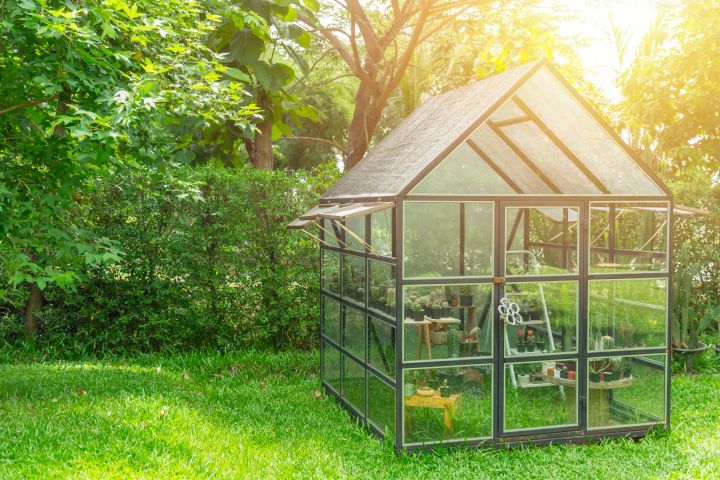 Man erkennt ein Gewächshaus aus Glas auf einer grünen Wiese.