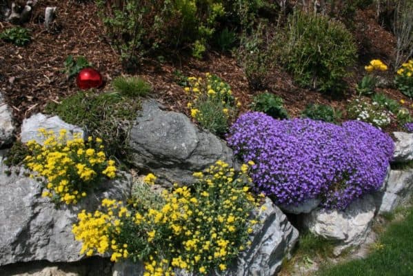 steinmauer-stoneboxen-blumen-bunt-garten