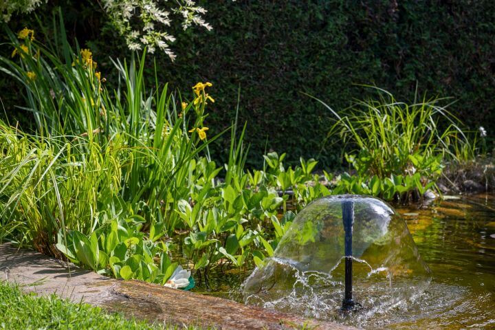 Brunnen im Gartenteich, rundherum verschiedene Pflanzen im Hintergrund