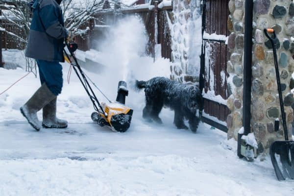 Man erkennt einen Hund im Schnee.