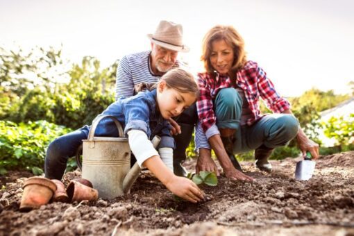 Man erkennt eine Familie, die gerade im Garten arbeiten.