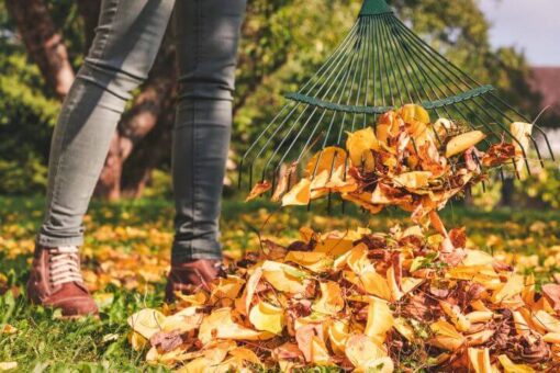 Herbstlaub im Garten: Frau recht Laub