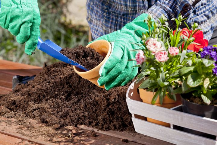 Blumenerde: Mann befüllt einen Topf mit Erde