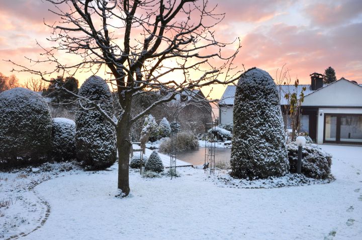 Garten winterfest machen: Pflanzen im Garten sind mit Schnee bedeckt