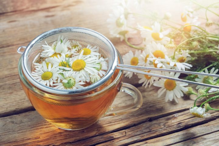 Man sieht viele abgepflückte Kamilleblüten die neben einer Tasse mit Tee stehen, in der ebenso Blüten schwimmen und gerade mit einem Sieb heraus geholt werden