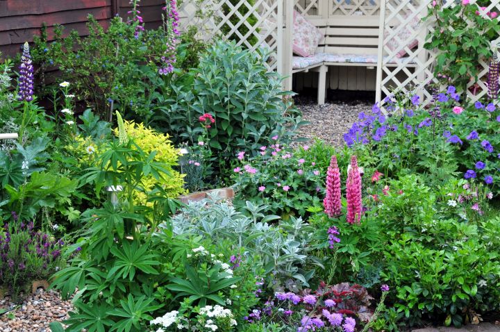 Man sieht viele verschiedene Blumenarten und im Hintergrund eine Holzbank 