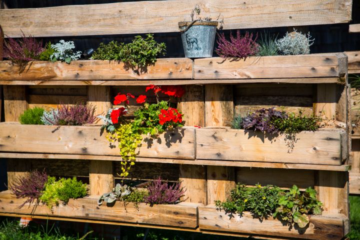 Man sieht einen Sichtschutz aus Paletten in dem schon Blumen gepflanzt wurden