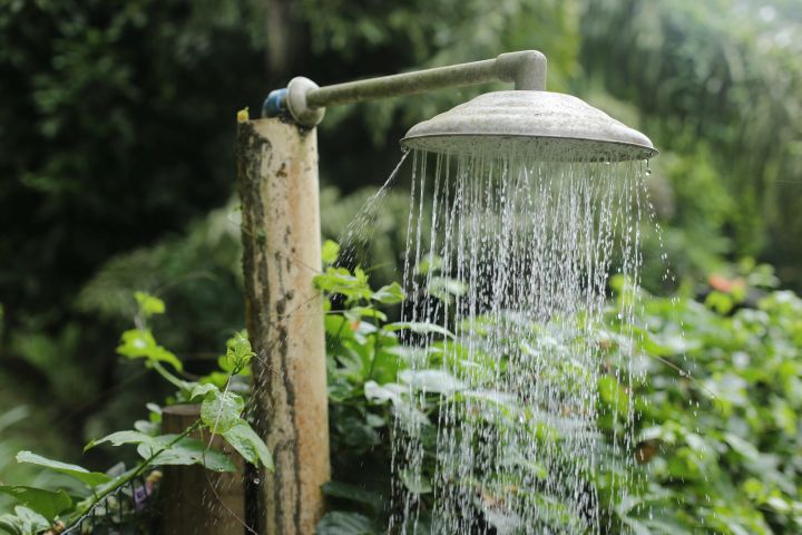 Man sieht einen alten Metallduschkopf, der in einem Ast steckt. Aus dem Duschkopf fließt gerade Wasser