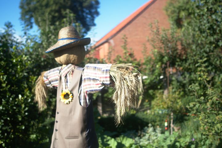 Vogelscheuche mit Hut in einem Garten