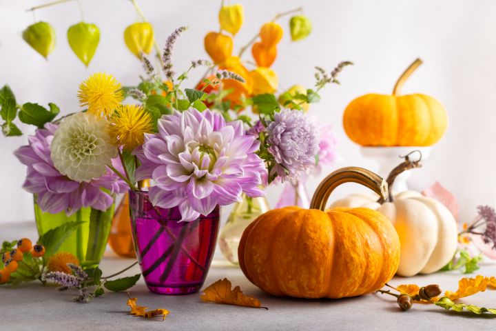 Eine Blumenvase auf einem Tisch umringt von Kürbissen. In der lila Vase sind Blumen namens Dahlien