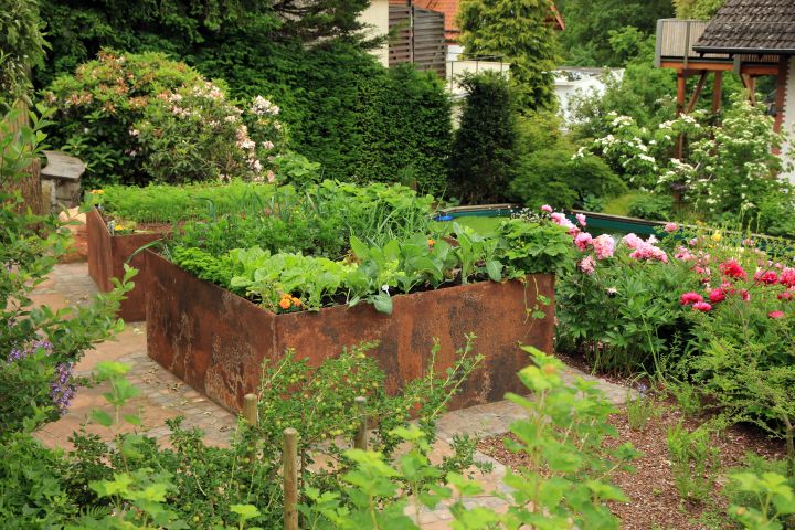 Hochbeet aus Holz in gut bepflanztem Garten