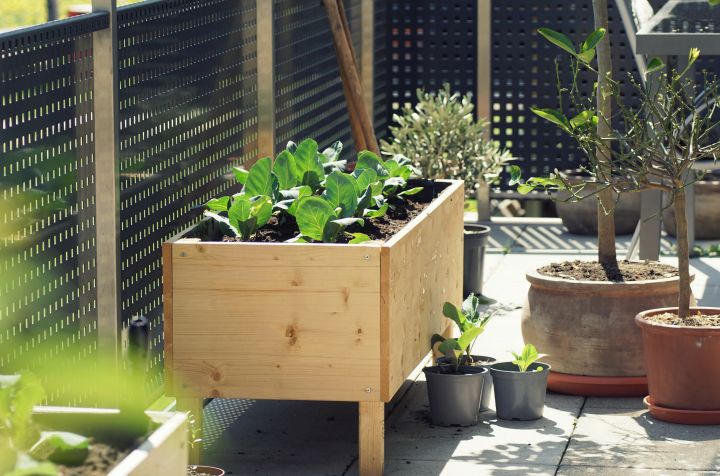 Selbstgemachtes kleines Hochbeet aus Holz auf einer Terrasse